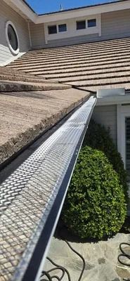 Steep tan shingle roof with white gutters and a gutter guard beside a house and shrubbery