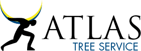 Atlas Tree Service - Logo