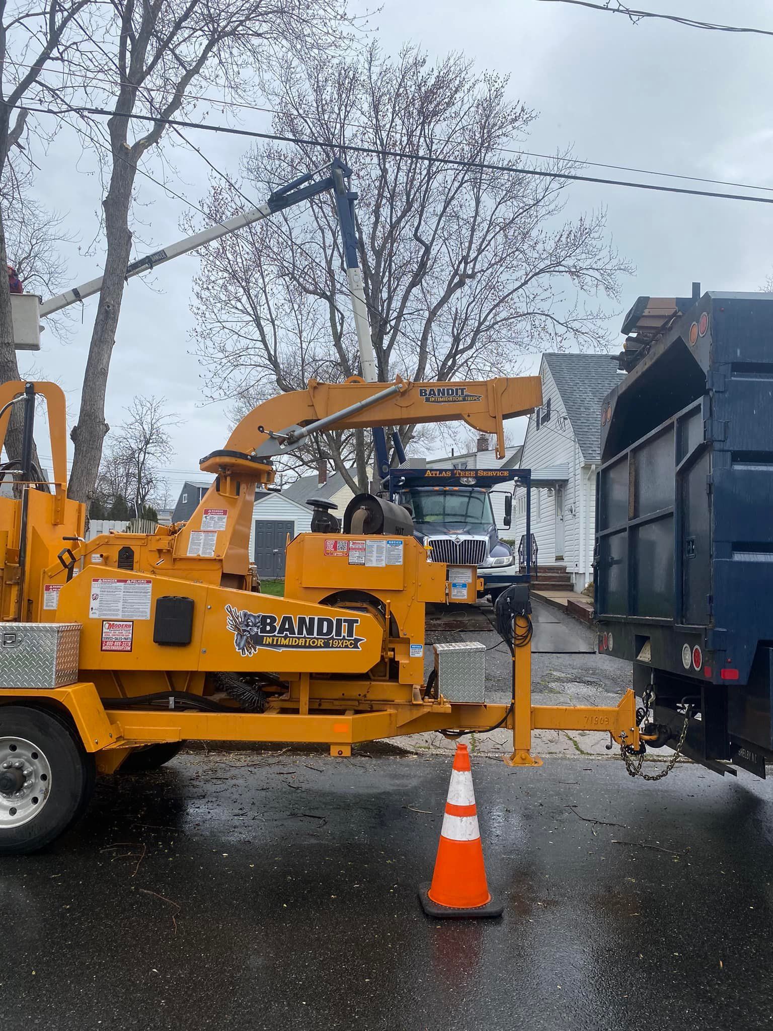 Atlas Tree Service Photo Gallery Lyndhurst, NJ