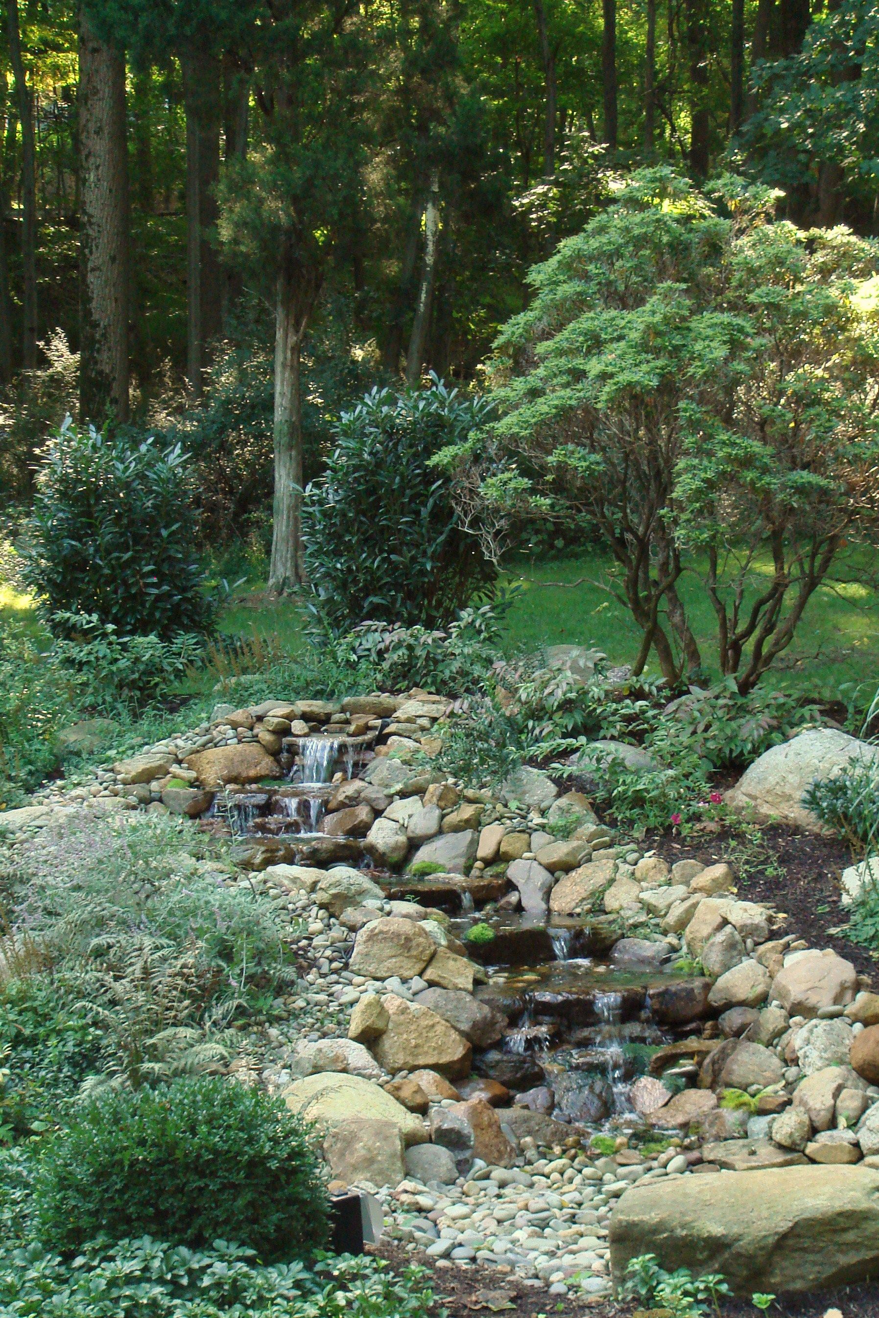 Water garden