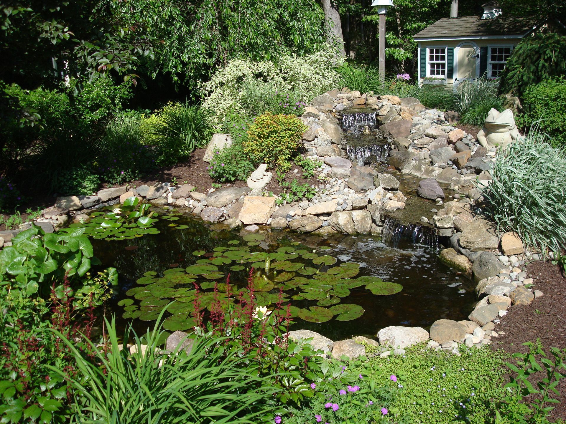 Water garden design