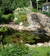 Water Pond