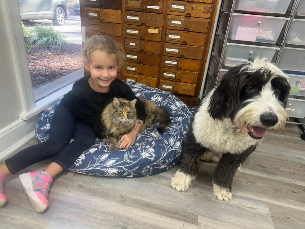 Girl smiles with cat on blue cushion next to a black and white dog indoors, near a cabinet.