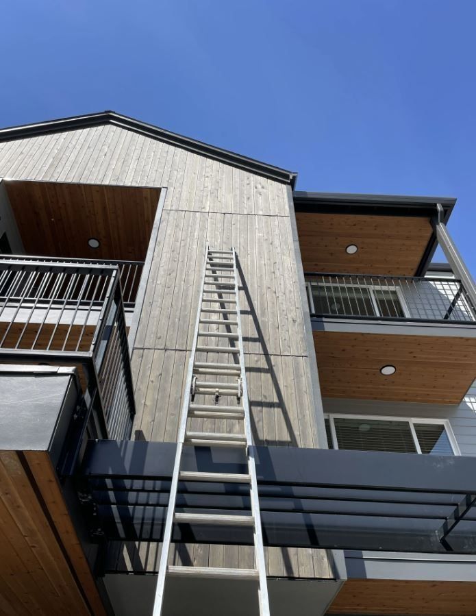 A ladder is leaning against the side of a building.