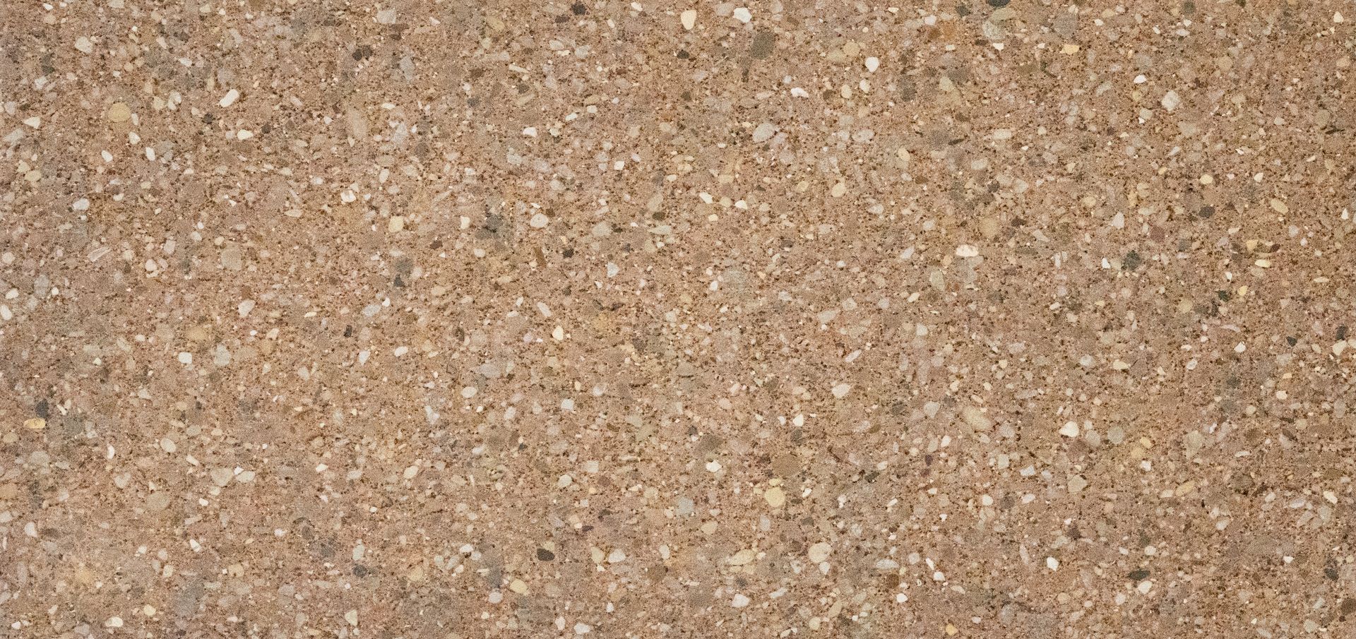 Close-up of a brown, speckled sandy or gravelly surface texture