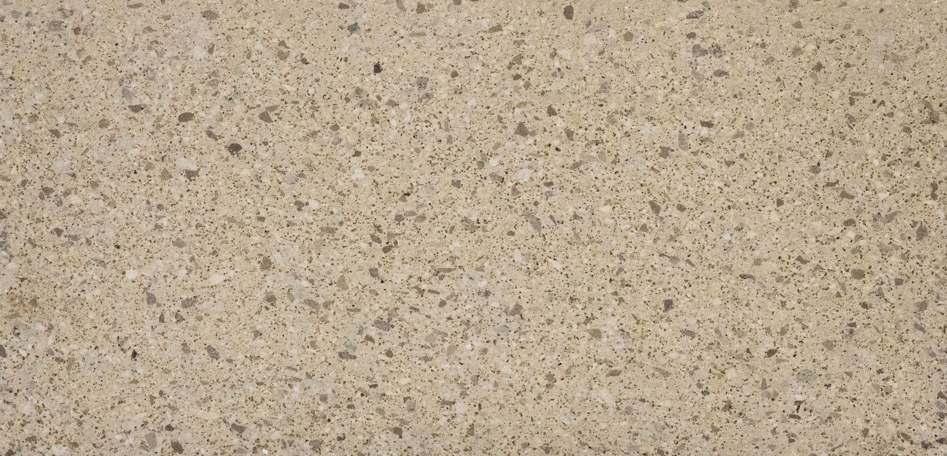 Speckled beige textured surface with small dark flecks