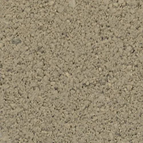 Close-up of a rough, tan-colored surface with granular texture, possibly soil or concrete.