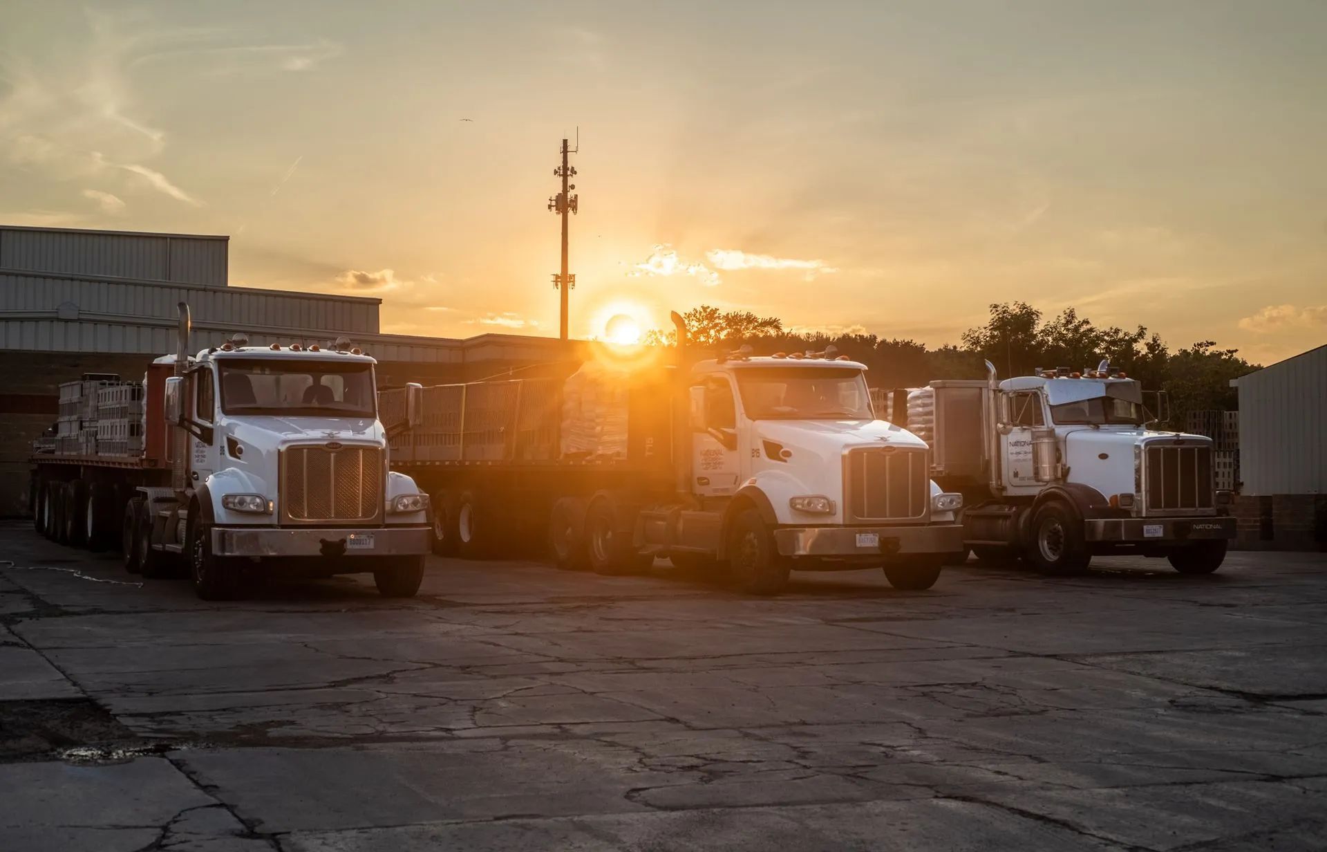Three white semi-trucks parked in a lot, with the setting sun behind them.