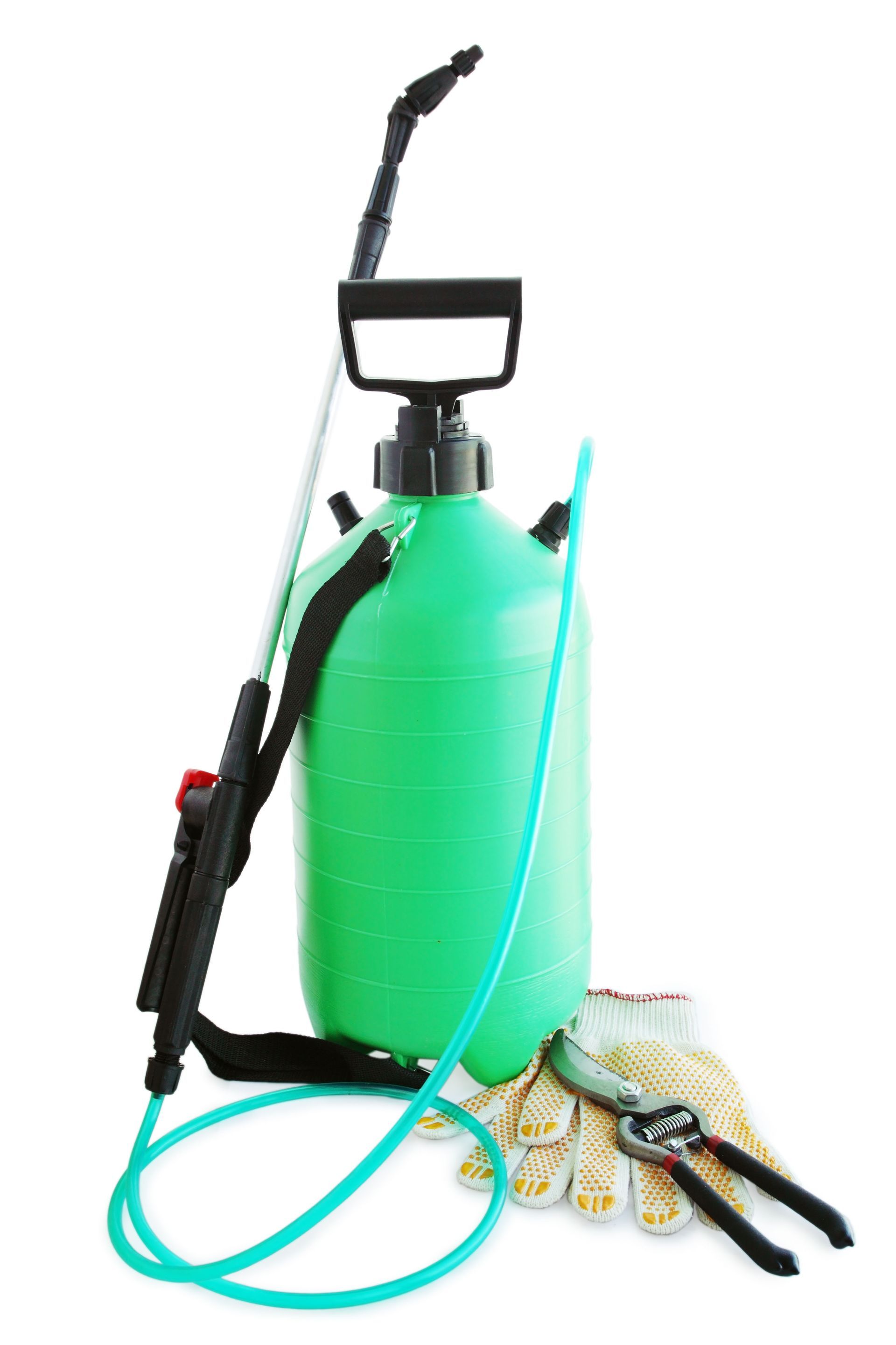 Top Benefits of Investing in Professional Weed Control Service