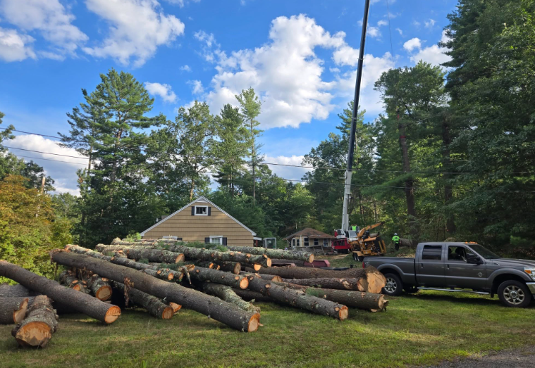 Logs stacked in a yard beside a pickup truck, with trees and a house under a blue sky.