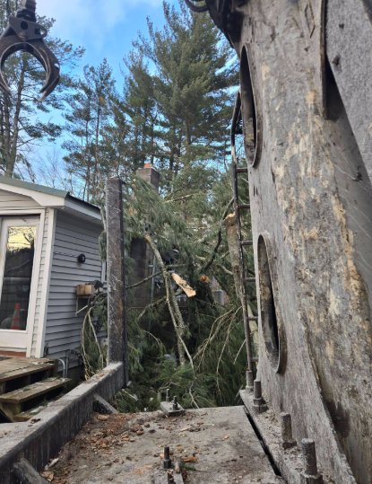 A large fallen tree leans into a narrow backyard walkway beside a house and deck.