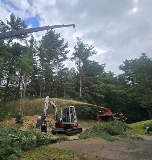 Excavator and wood chipper clearing brush in a wooded yard under a cloudy sky