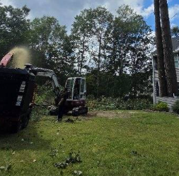 Small excavator clearing brush beside a black dumpster in a grassy yard with tall trees and a white house.