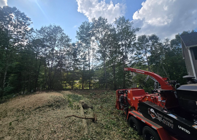 Red wood chipper in a grassy wooded yard under a bright, partly cloudy sky