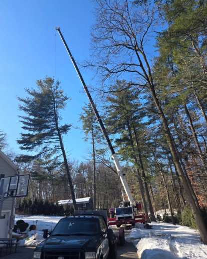 Crane lifting a long pole over snow-covered driveway with trucks and tall trees nearby
