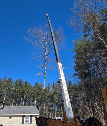 Crane lifts a long pole beside a house and tall trees under a clear blue sky.