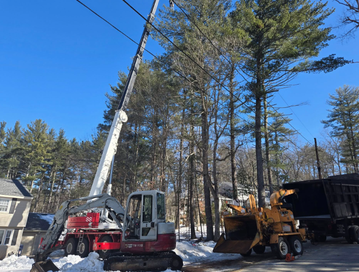Crane lifting tree limbs beside a red excavator and dump truck on a snowy roadside under blue sky
