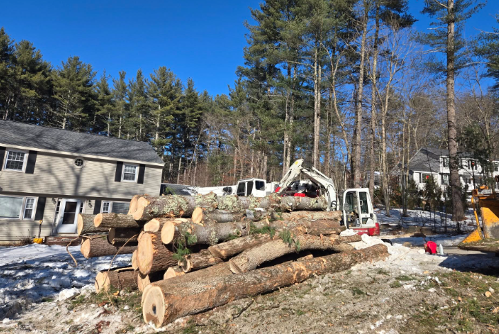 Stacked logs and a wood chipper in a snowy yard beside houses and tall pine trees