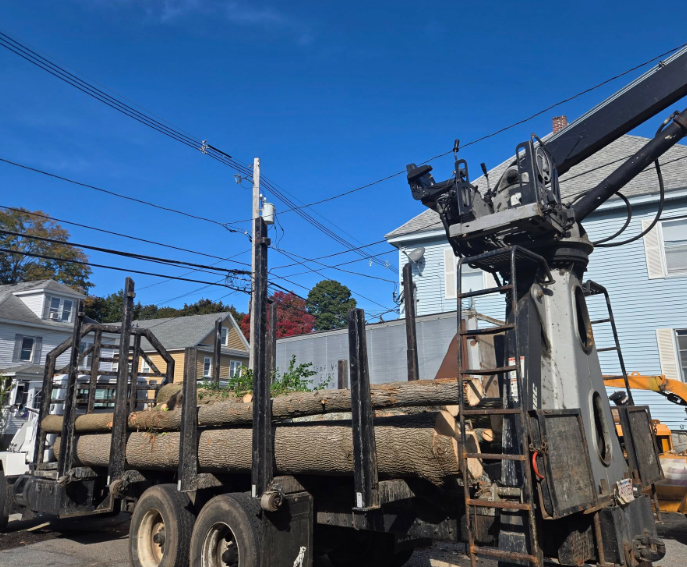 Flatbed truck loaded with large logs, with a crane arm beside a house on a sunny street