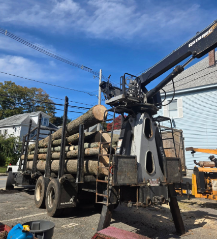 Logging truck with crane loading cut logs outdoors under a blue sky