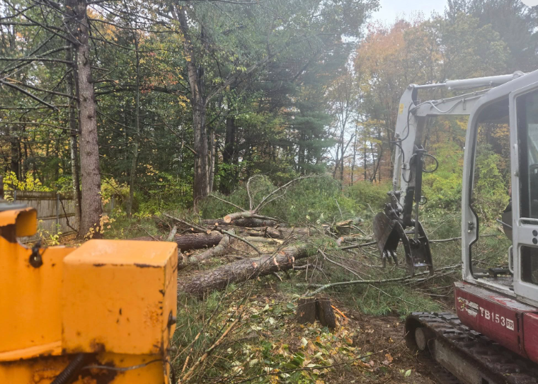Excavator clearing fallen trees and branches on a wooded trail in a forest.