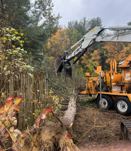 Excavator clearing a fallen tree beside a fence on a muddy wooded roadside.