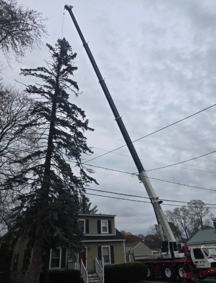 Crane truck raising a long boom beside a house and tall tree on a cloudy residential street