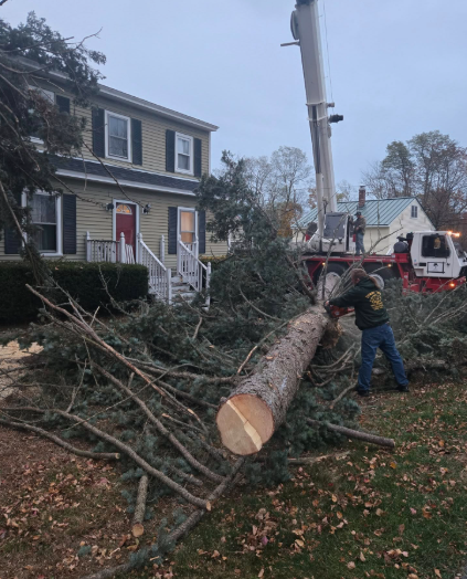 Utility worker cutting a fallen tree beside a house, with a crane truck and branches scattered on the lawn.
