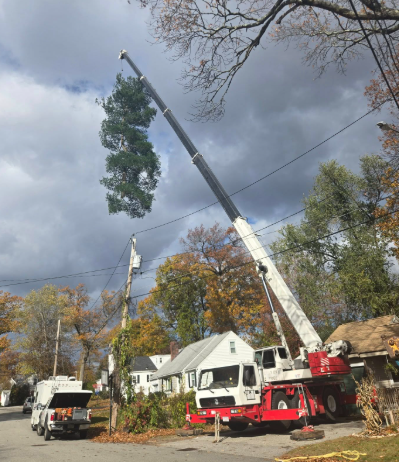 Crane lifting a large tree branch over houses on a suburban street, with a work truck below.
