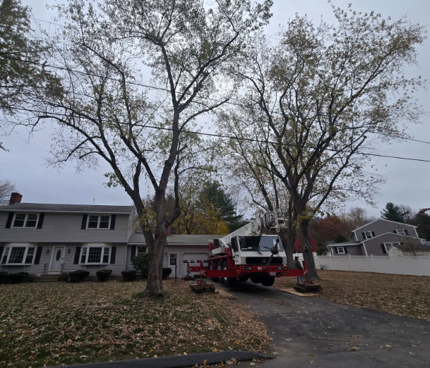 Tree service truck with cherry picker in a suburban driveway beside a house and tall trees