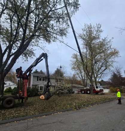 Tree crew using a crane to clear fallen branches along a residential street