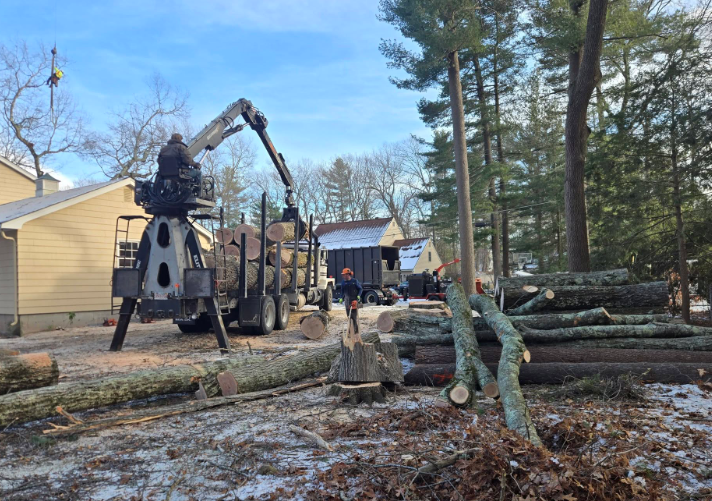 Logging equipment and cut tree trunks in a snowy yard beside a house and tall pine trees.