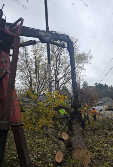 Wood chipper lifting a tree trunk beside a worker in a muddy yard with fallen branches