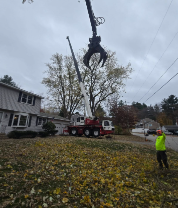 Crane lifting a large tree branch over a suburban yard, with a worker in a neon vest nearby.