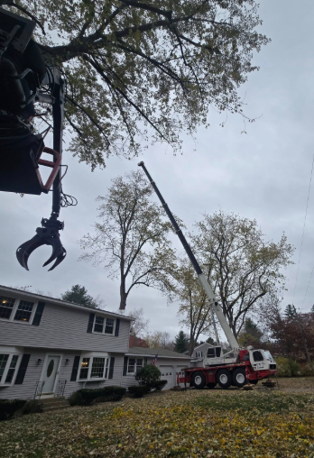 Tree-trimming crane lifting branches beside a house, with a red utility truck in the yard.