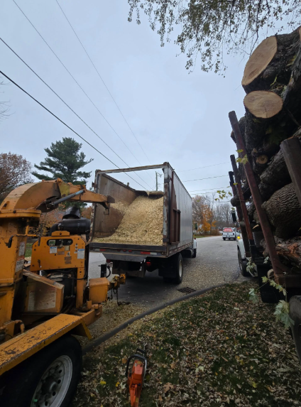 Dump truck filled with wood chips beside a wood chipper and stacked logs on a roadside under cloudy sky
