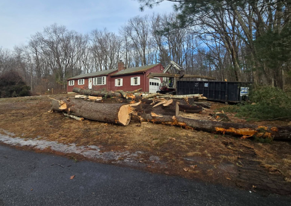 Rural roadside with a red building, stacked logs, and a wooded backdrop under a cloudy sky