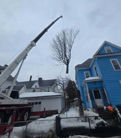 Crane truck lifting a tree beside a blue house in a snowy neighborhood.