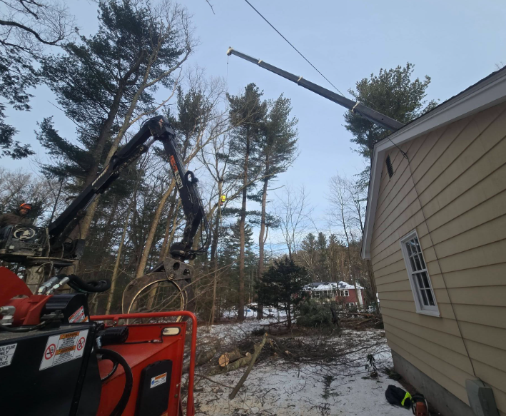 Utility truck crane lifting a long tree limb beside a beige house in a snowy yard