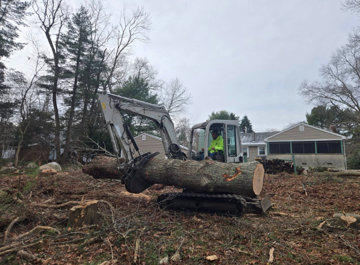 Excavator lifting a large tree trunk in a yard near a house on an overcast day