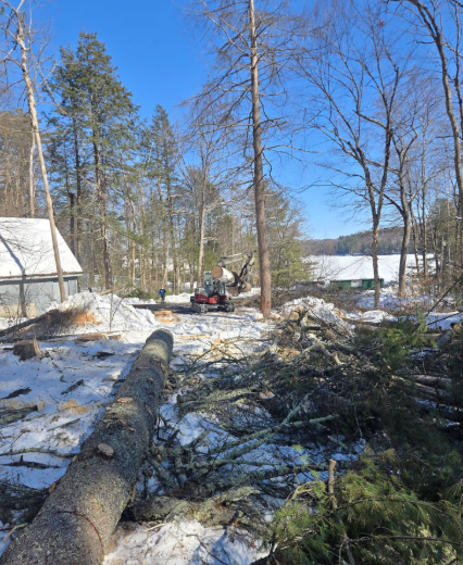 Snowy forest clearing with a fallen tree, blue sky, and frozen lake in the background