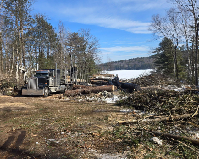 Truck clearing fallen trees beside a snowy lakeshore under a blue sky