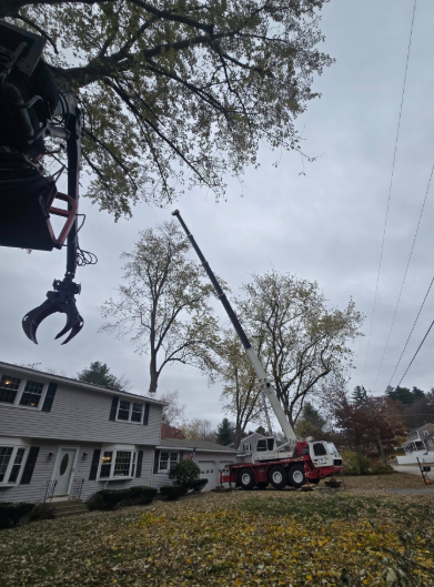Fire truck and crew using a crane to lift a downed tree limb near a house on a cloudy day