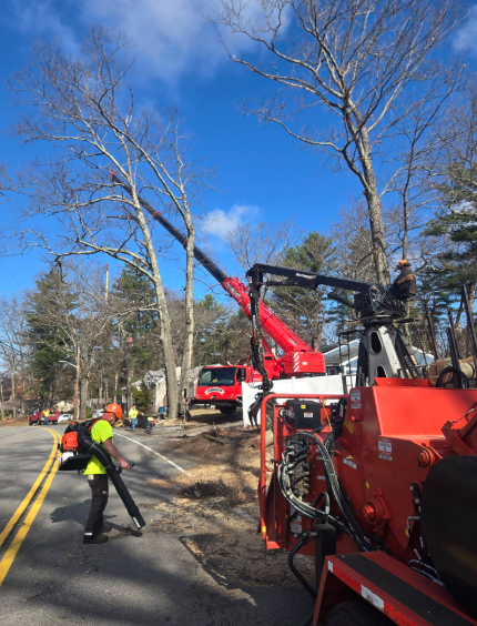 Roadwork crew with red equipment clearing trees along a roadside under a blue sky.