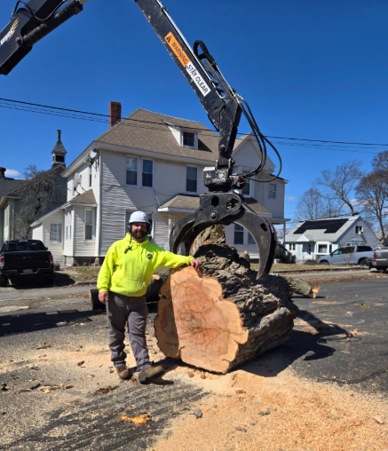 Worker in neon jacket stands by a large uprooted tree trunk lifted by a crane on a residential street.