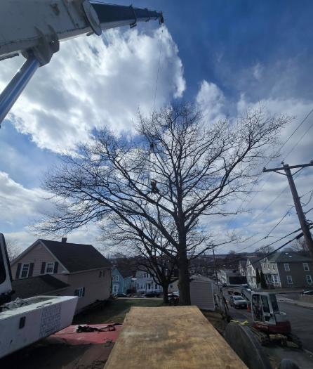 Boom lift spraying water into a cloudy sky above a residential yard and leafless tree