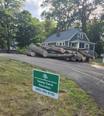 Large cut tree logs stacked on a driveway in front of a gray house, with a lawn sign for tree service.