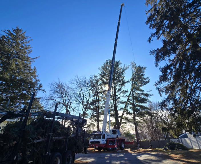 Crane lifting a tall tree trunk beside a house under a clear blue sky.