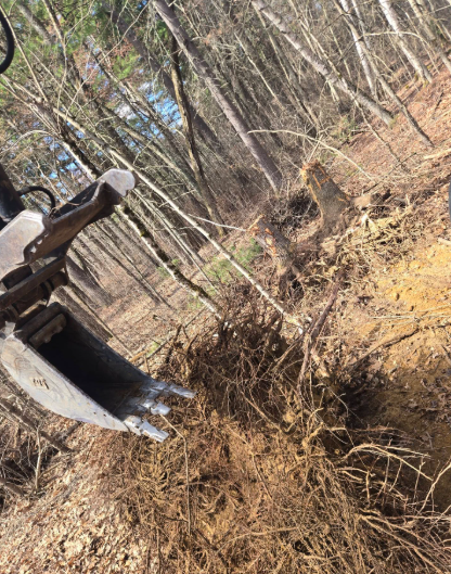 Excavator bucket digging into a muddy wooded hillside with bare trees around it