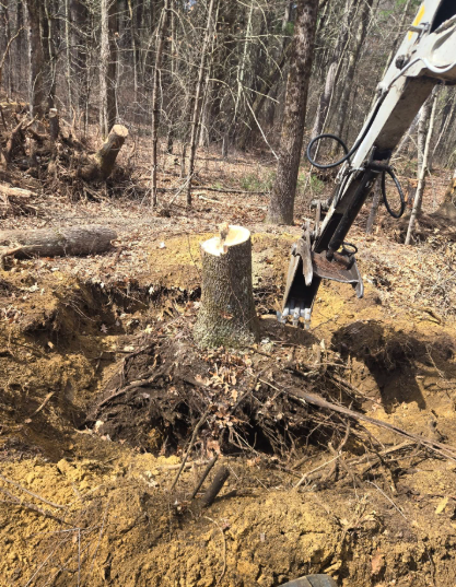 Excavator clearing tree stumps and roots in a muddy wooded area